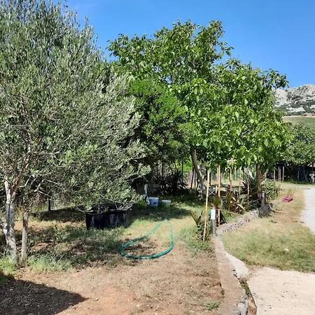 Bogdi Apartment Draga Bascanska