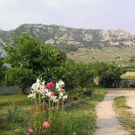 Bogdi Draga Bascanska