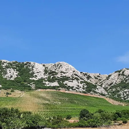 B * Draga Bašćanska